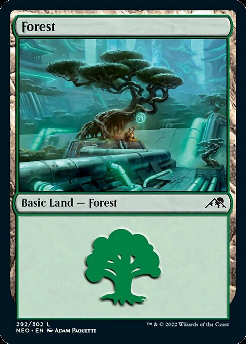 Forest