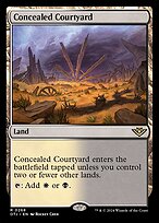 Concealed Courtyard
