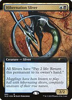 Hibernation Sliver