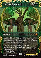 Awaken the Woods [Borderless]