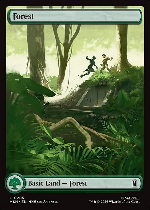 Forest [Full Art]