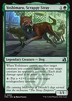 Yoshimaru, Scrappy Stray