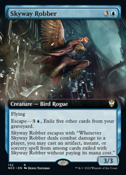 Skyway Robber [Extended Artwork]