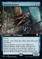 Skyway Robber [Extended Artwork]
