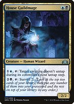 House Guildmage