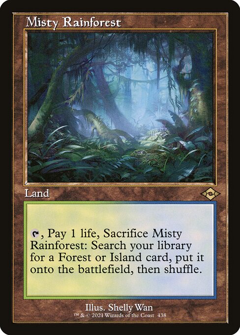 Misty Rainforest [Retro Frame]