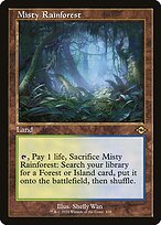 Misty Rainforest [Retro Frame]