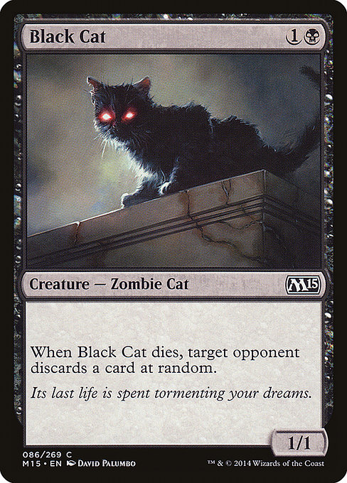 Black Cat [Foil]