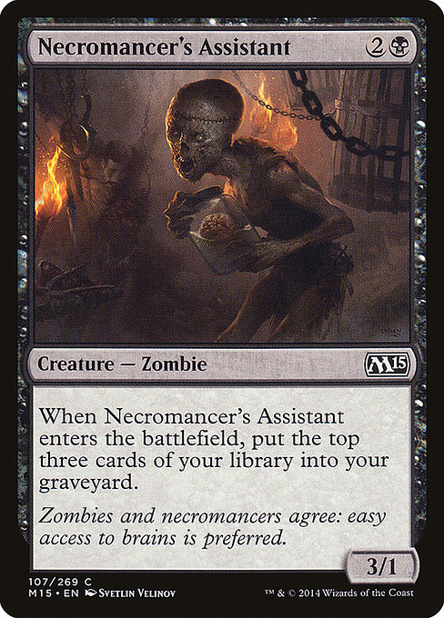 Necromancer's Assistant [Foil]