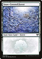 Snow-Covered Forest