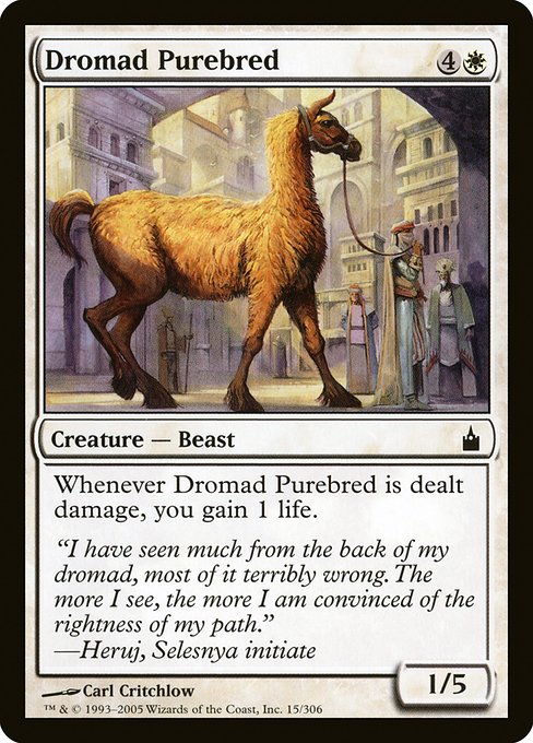 Dromad Purebred [Foil]