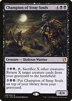 Champion of Stray Souls