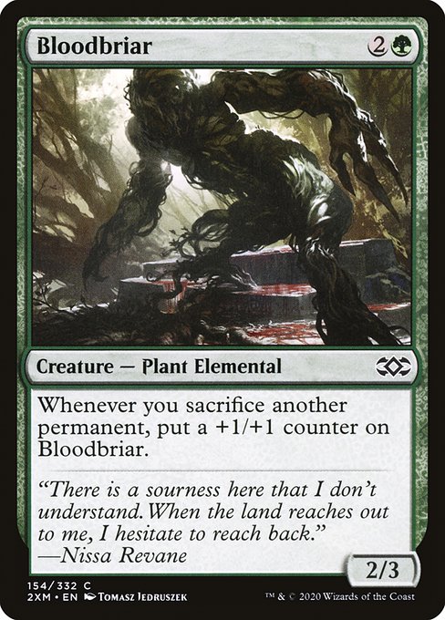 Bloodbriar [Foil]