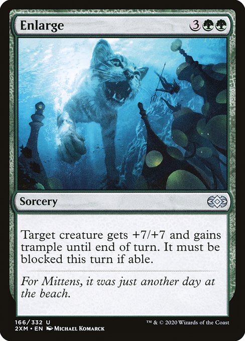 Enlarge [Foil]