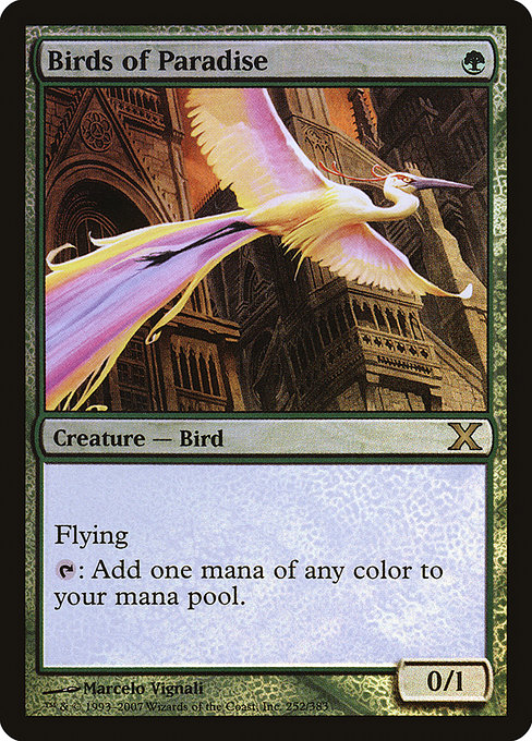 Birds of Paradise [Foil]