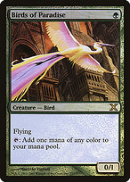 Birds of Paradise [Foil]