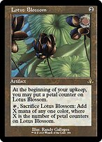 Lotus Blossom [Showcase Retro Frame]