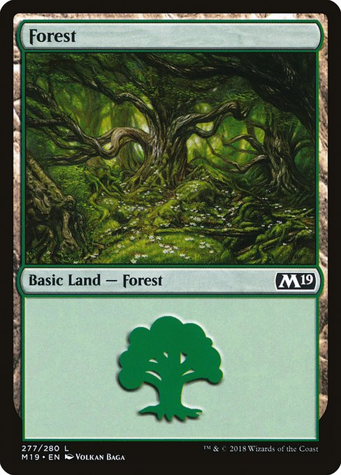Forest [Foil]