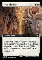 True Identity [Extended Artwork]